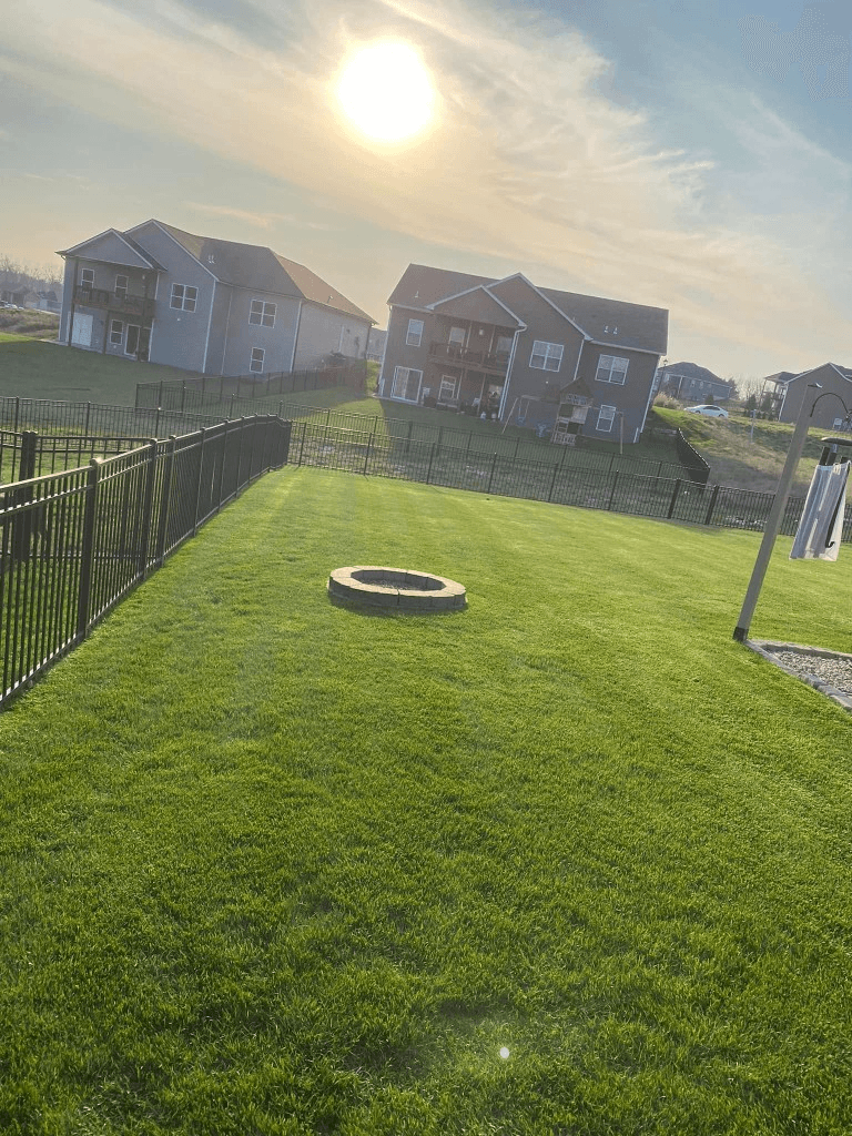 Large residential backyard with professionally striped mowing patterns on green grass